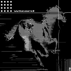 pony boy [✧°wizard bootleg°]