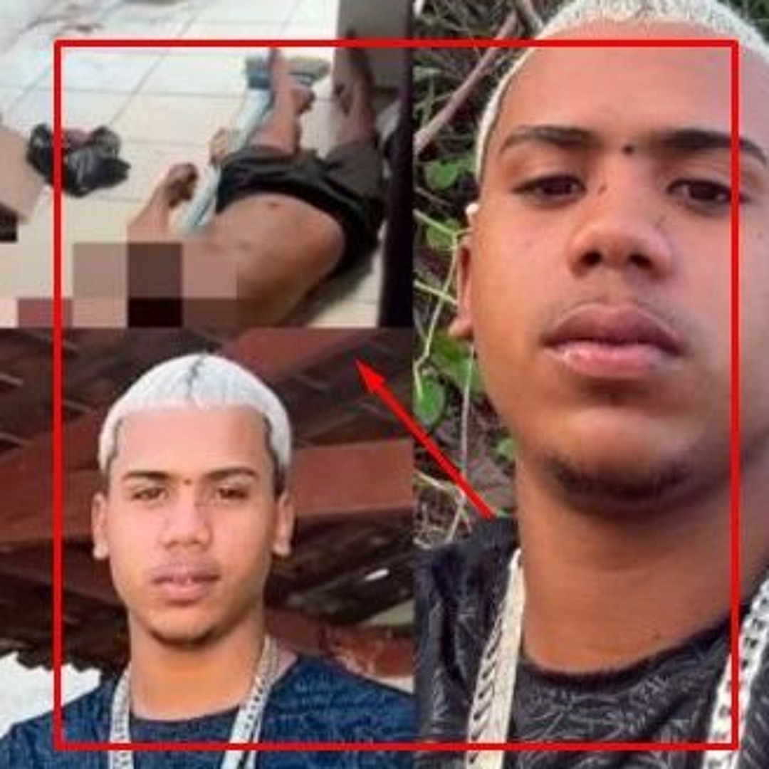 Stream +++! Portal Zacarias Nicolas Abelha Video Nicolas Abelha Nicolas 