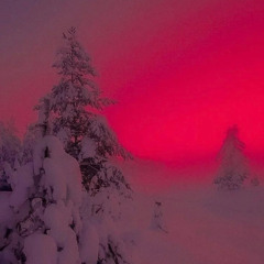 DLRM Christmas (Prod. soni x harui)