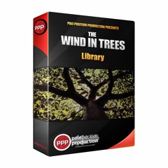 Wind - Spruce Forest - Moderate - Close - Inside Canopy - XY - MKH8060