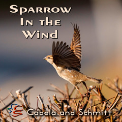 Sparrow in the Wind
