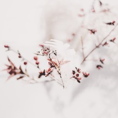 Remember December - Austin Ecstatic Dance Warmup 12/11/2022