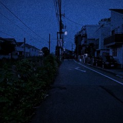 a night walk in tokyo