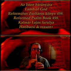 459 Az Isten Bárányára