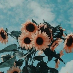 اسلام صبحي ( سورة النمل )