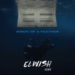 Birds Of A Feather (Elwish Amapiano Edit) FILTERED
