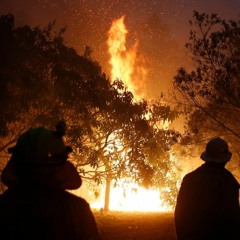 World Beyond Repair (REMASTER)| [FREE DOWNLOAD]