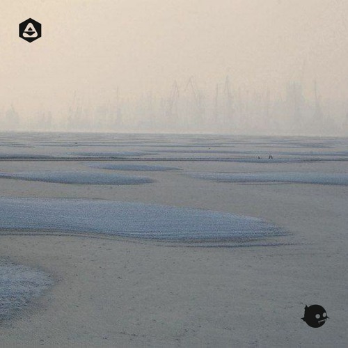 Peshka & Paradoxal - Passing Through