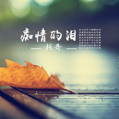 痴情的泪