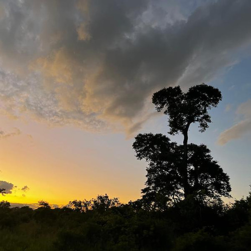 Sub Sahara 23 - Richard Marshall [with Raresoftware]