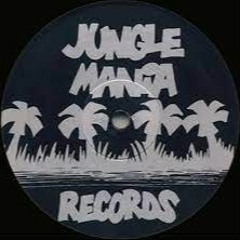 Junglist Massive 2