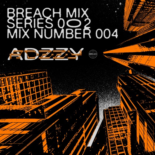 MIX SERIES 2 | No 004 | ADZZY