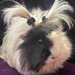 RAMONATEK
