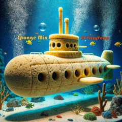 Sponge Mix
