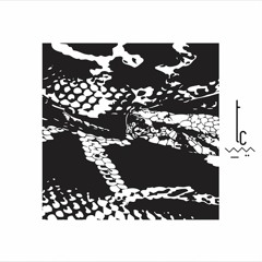 LUM - Boa (Original Mix) [trueColors]