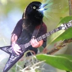 The Bird (ft. Luke E)