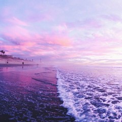 🌊 P U R E • W A V E  🌊