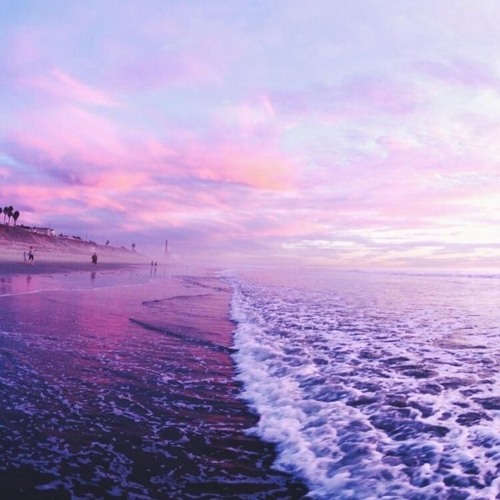 🌊 P U R E • W A V E  🌊
