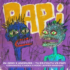In - Grid X Andruss - Tu Es Foutu Vs PAPI (CERVANTEZ  X MOKA  X RODE LEPPER Mashup)