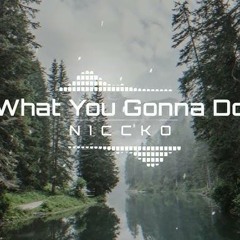 NICCKO - What You Gonna Do