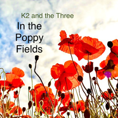 In The Poppy Fields