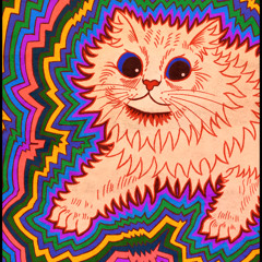 VR Kaleidosky X Translifeline Euphoric EDM Set 11.22.25