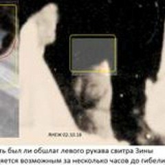 нежность шипов роз