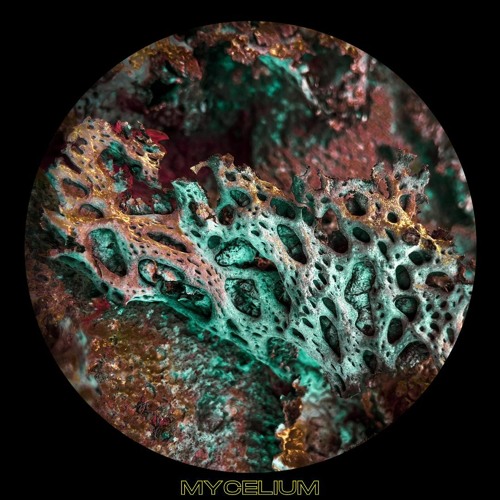 HYDNUM