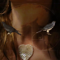 Don’t Let The Door Hit You On The Way Out