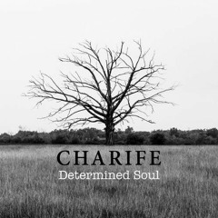 Charife - Determined Soul (Longalenga Remix)
