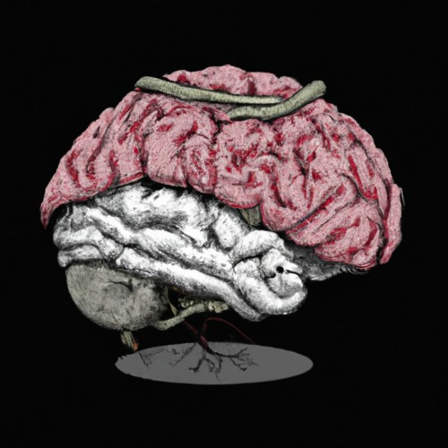 where is my mind?