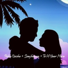 Pehla Nasha × Samjhawan × Tu Hi Yaar Mera (SHRAVAN Lofi Remake).mp3