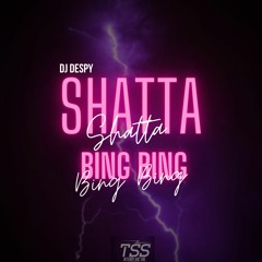 Dj Despy - Shatta Bing Bing (QueDuShatta)LIVE