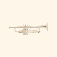 Trumpet (Original w/ In Da Club Vocal)
