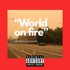 World On Fire - ig:@RoseGoldShaun_