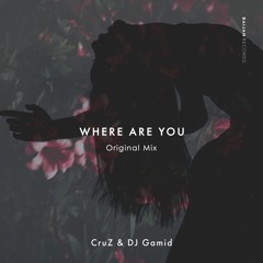 CruZ & DJ Gamid - Where Are You