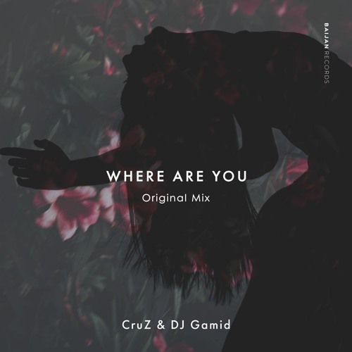 CruZ & DJ Gamid - Where Are You