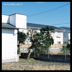 Kinmokusei