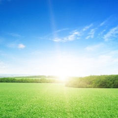 Improvisation for 6.12.20