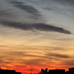 5412 Before Apologies