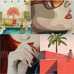 POOLARIZED Best Of 2025 by MichaelV