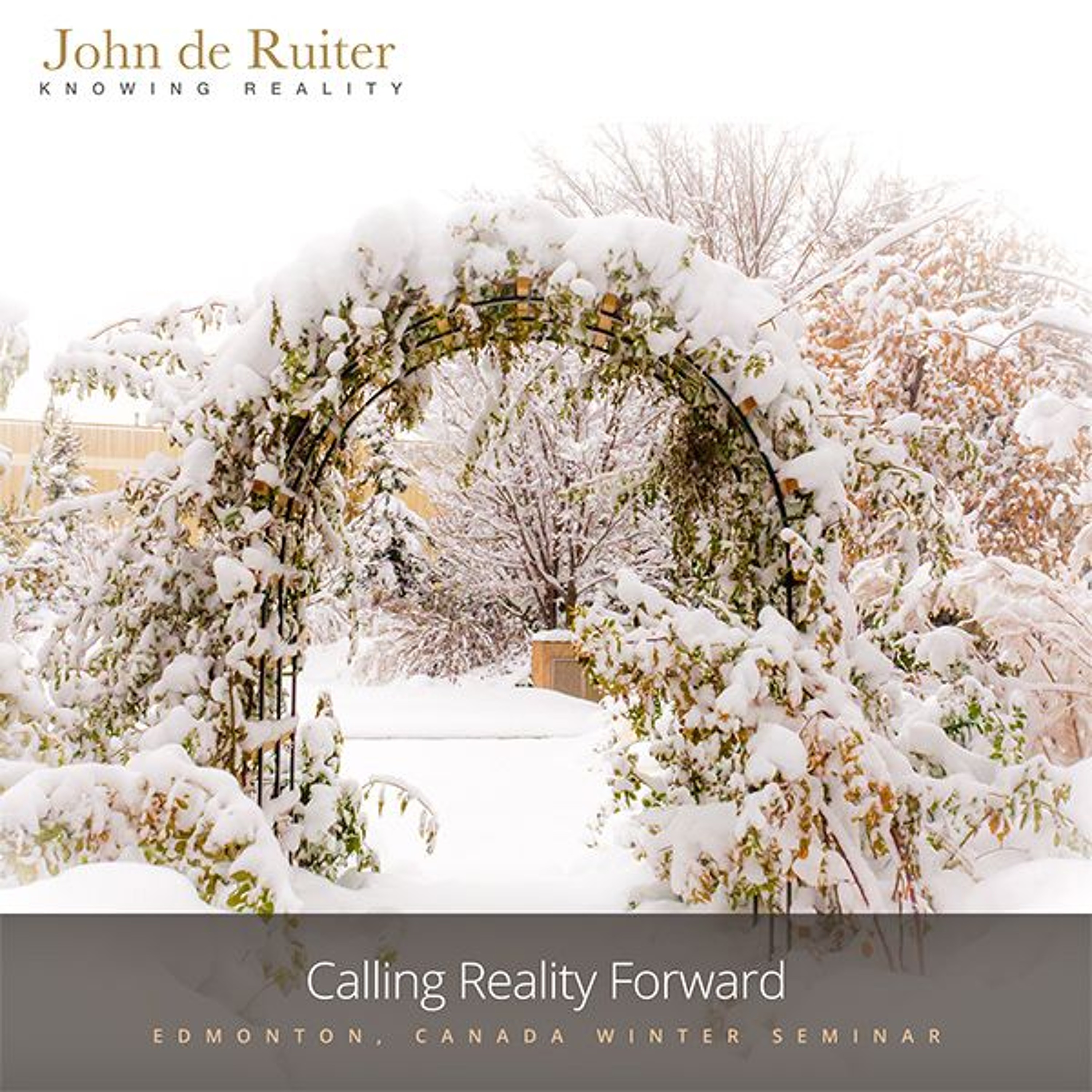 212 - Calling Reality Forward - 1 of 1 episode artwork