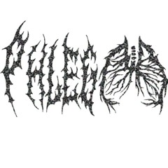 PHLEGM - NERVEENDING