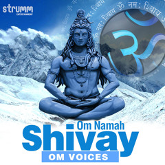 Om Namah Shivay