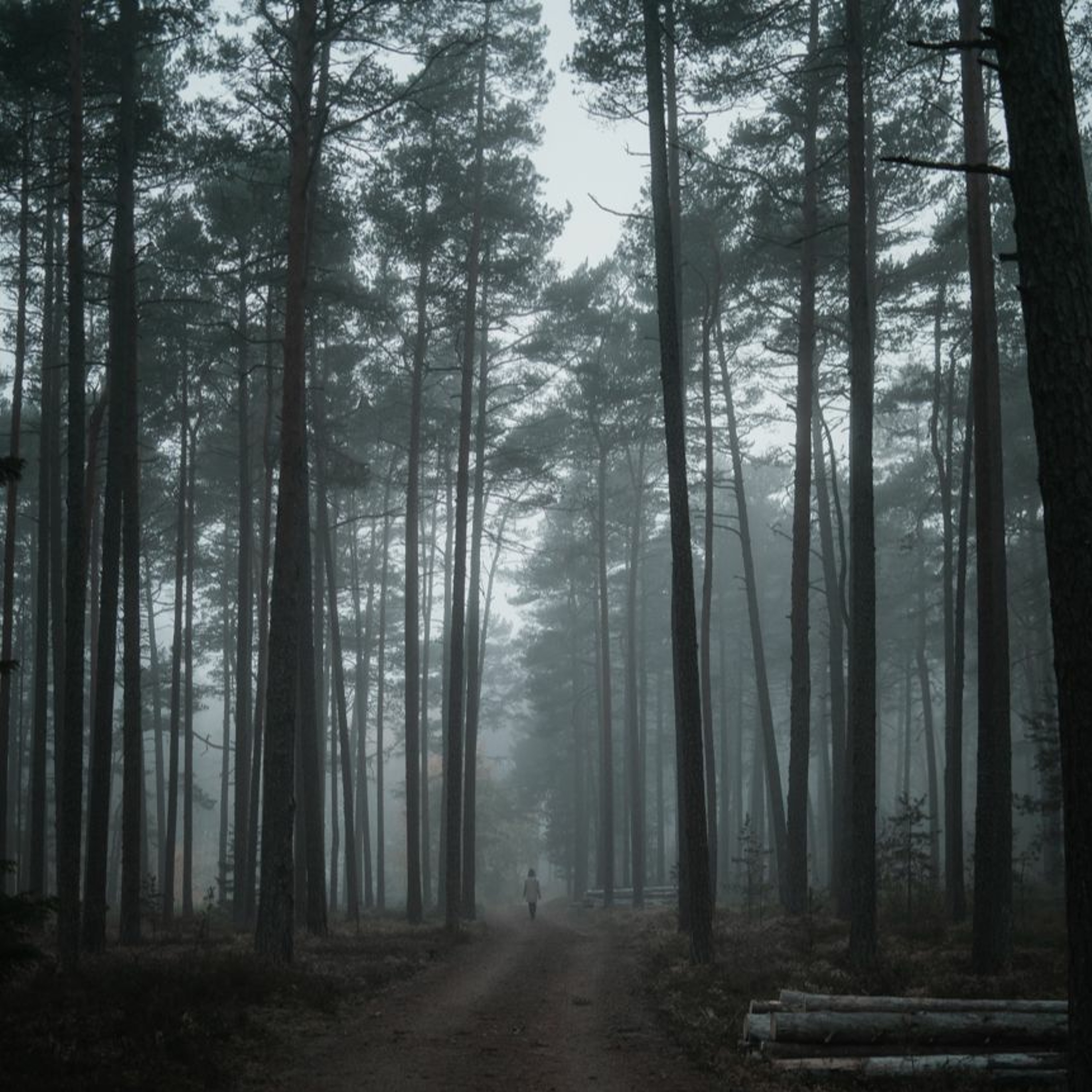 Valokuvauspodcast