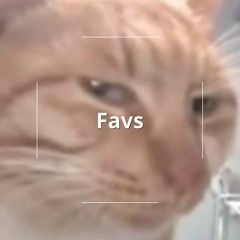 Favorites💎🔥