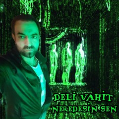 Deli Vahit - Neredesin Sen Live at Cobra Show, 1986