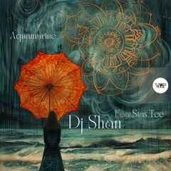 𝐏𝐑𝐄𝐌𝐈𝐄𝐑𝐄: DJ Shan Feat Stas Tee - Aquamarine (Extended  Mix) [Camel VIP Records]