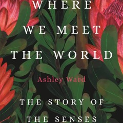 ❤ PDF Read Online ❤ Where We Meet the World: The Story of the Senses f