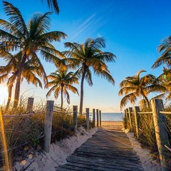 Florida_Backing Track